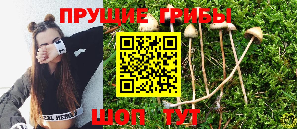 Краснотурьинск  Псилоцибиновые грибы Magic Shrooms  Вход с VPN 